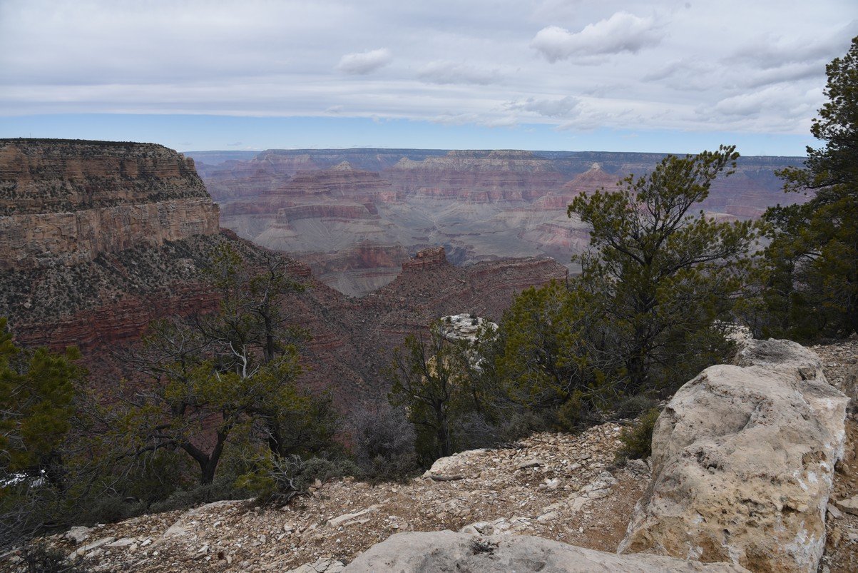 dsc_7705_fs.jpg