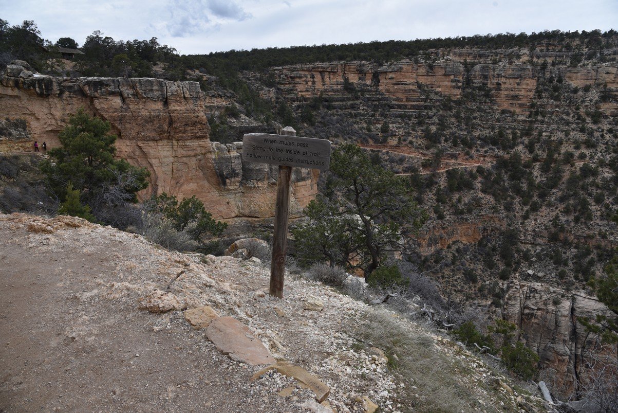 dsc_7768_fs.jpg