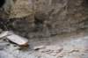 dsc_7786_fs_small.jpg