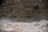 dsc_7789_fs_small.jpg
