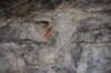 dsc_7796_fs_small.jpg