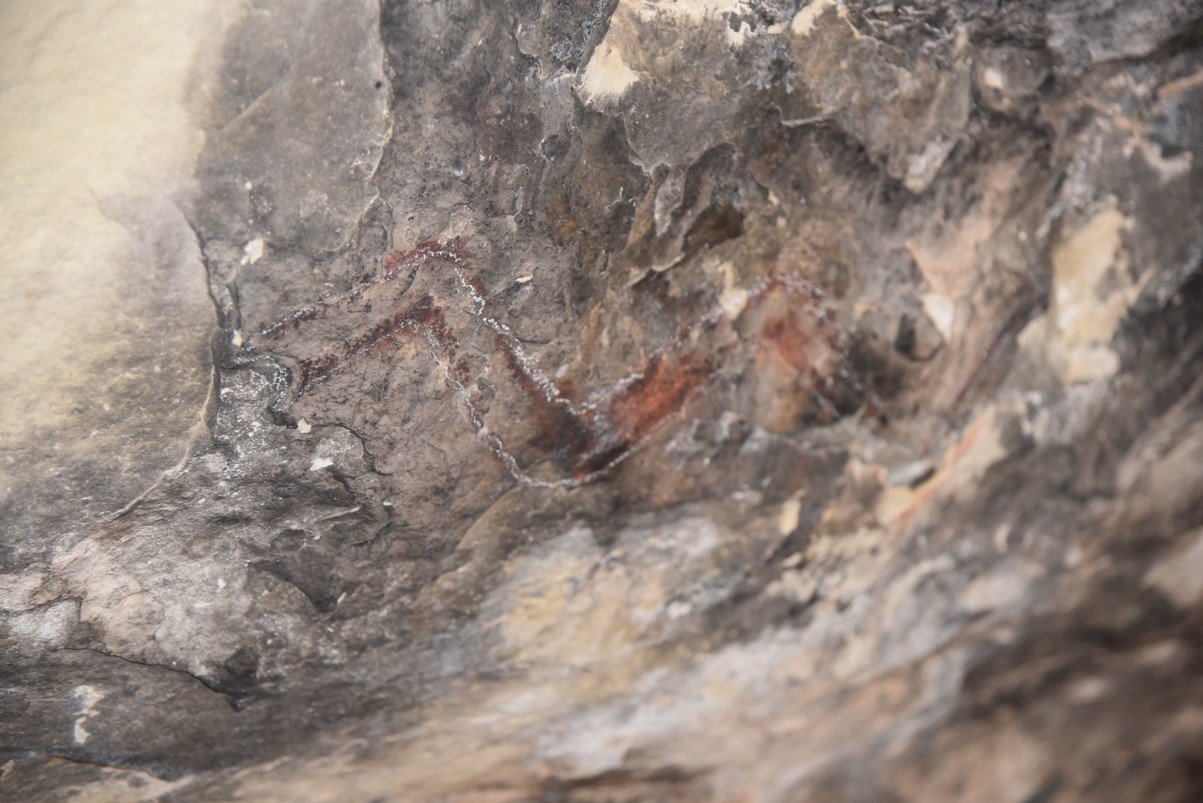 dsc_7797_fs.jpg