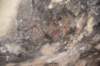 dsc_7797_fs_small.jpg