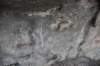dsc_7802_fs_small.jpg