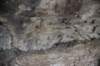 dsc_7806_fs_small.jpg