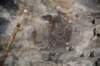 dsc_7809_fs_small.jpg
