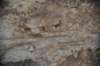 dsc_7810_fs_small.jpg