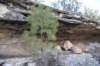 dsc_7829_fs_small.jpg