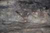 dsc_7834_fs_small.jpg