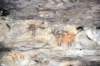 dsc_7837_fs_affopadet_small.jpg