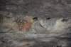 dsc_7838_fs_small.jpg