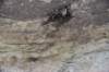 dsc_7842_fs_small.jpg