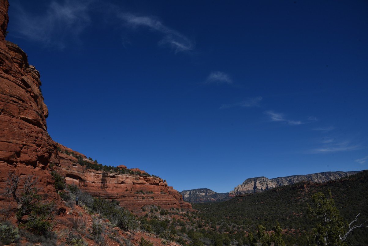 dsc_8290_fs.jpg