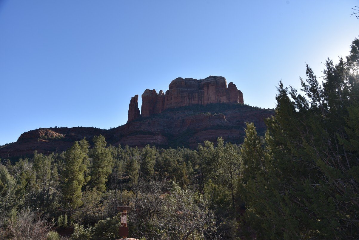 dsc_8380_fs.jpg