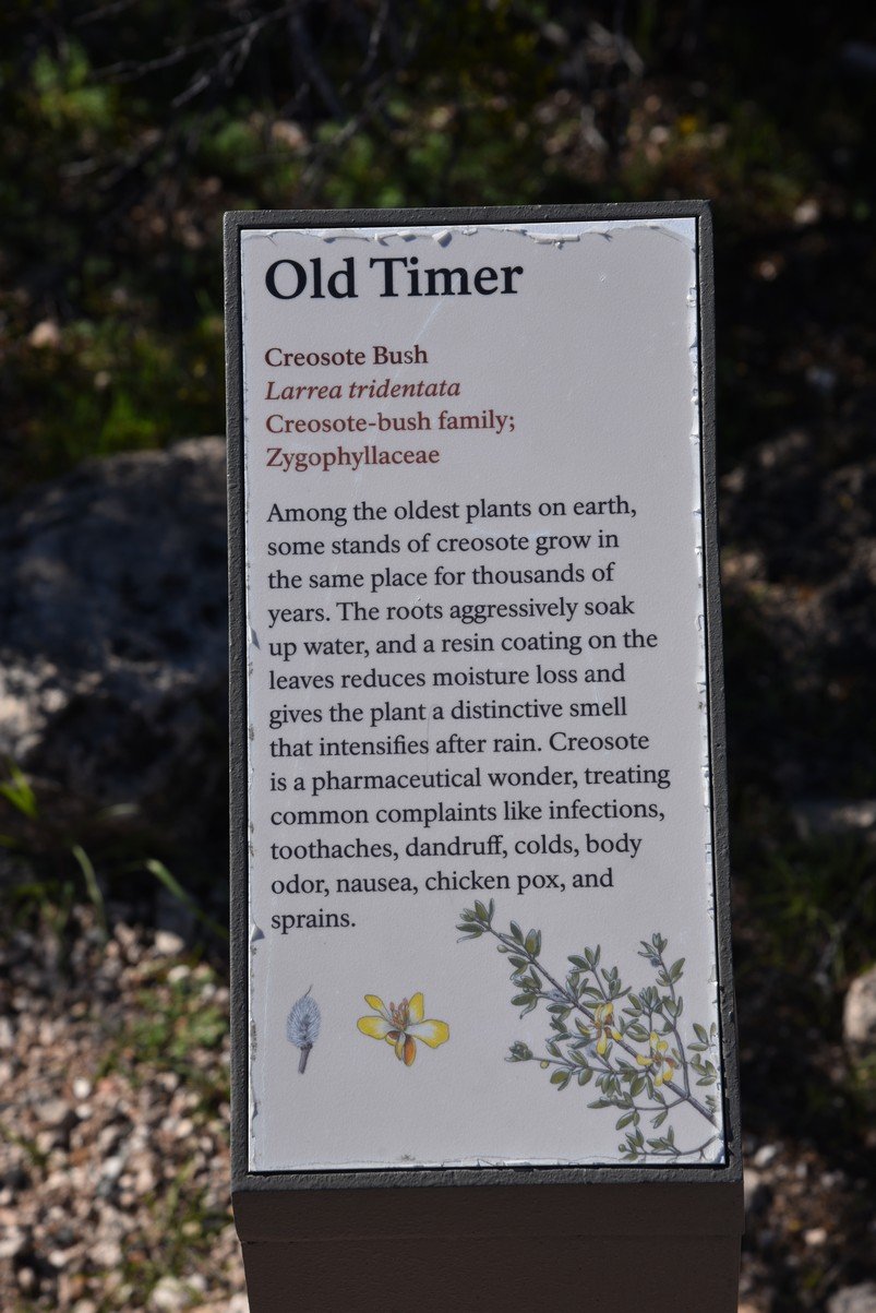 dsc_8419_fs.jpg