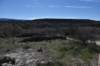 dsc_8514_fs_small.jpg