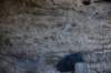 dsc_8535_fs_small.jpg