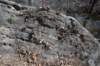 dsc_8539_fs_small.jpg