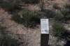 dsc_8541_fs_small.jpg
