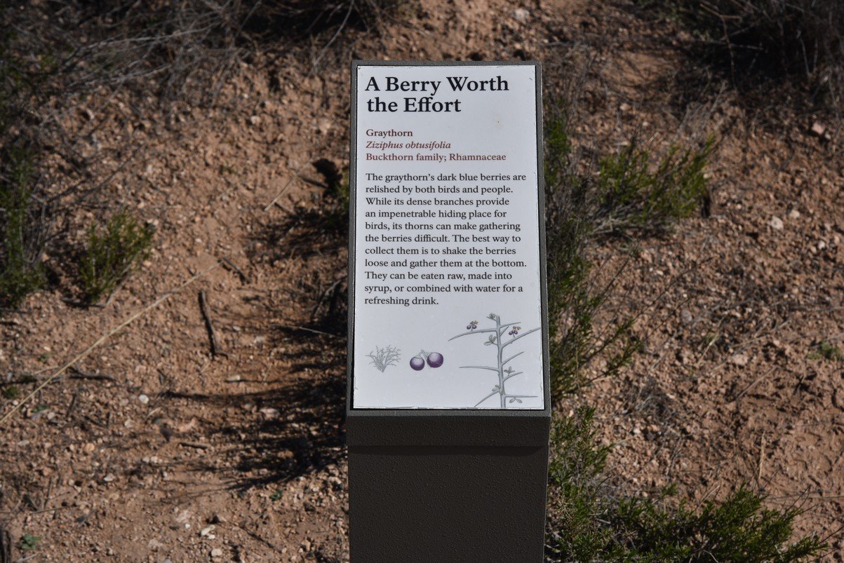 dsc_8545_fs.jpg