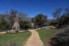dsc_8558_fs_small.jpg