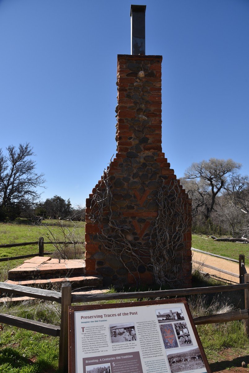 dsc_8560_fs.jpg