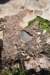 dsc_8648_fs_small.jpg