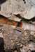 dsc_8649_fs_small.jpg