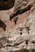 dsc_8724_fs_small.jpg