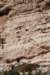 dsc_8726_fs_small.jpg
