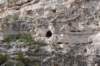dsc_8727_fs_small.jpg