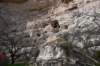 dsc_8729_fs_small.jpg