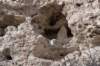 dsc_8732_fs_small.jpg