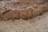 dsc_8742_fs_small.jpg