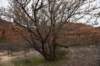 dsc_8907_fs_small.jpg