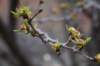 dsc_8908_fs_small.jpg