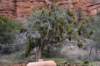 dsc_8915_fs_small.jpg