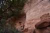dsc_8930_fs_small.jpg
