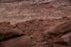 dsc_8933_fs_small.jpg