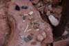 dsc_8946_fs_small.jpg