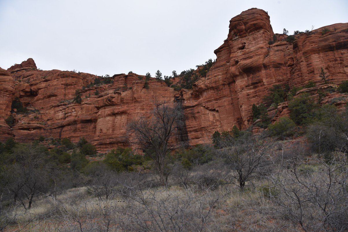 dsc_8957_fs.jpg
