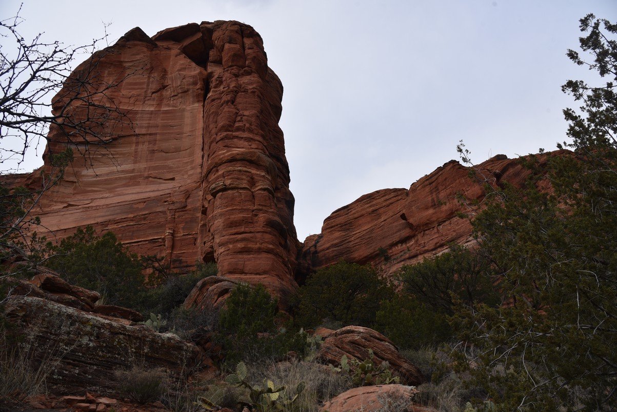 dsc_8967_fs.jpg