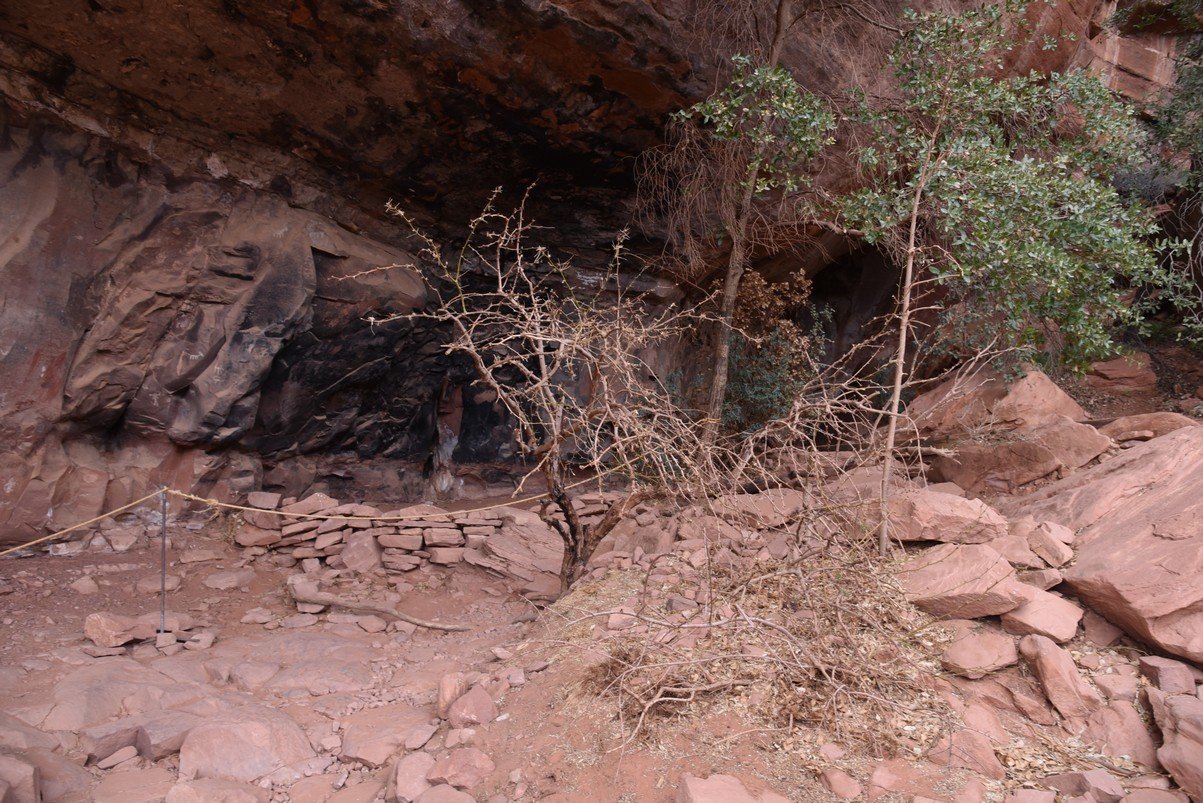 dsc_8982_fs.jpg