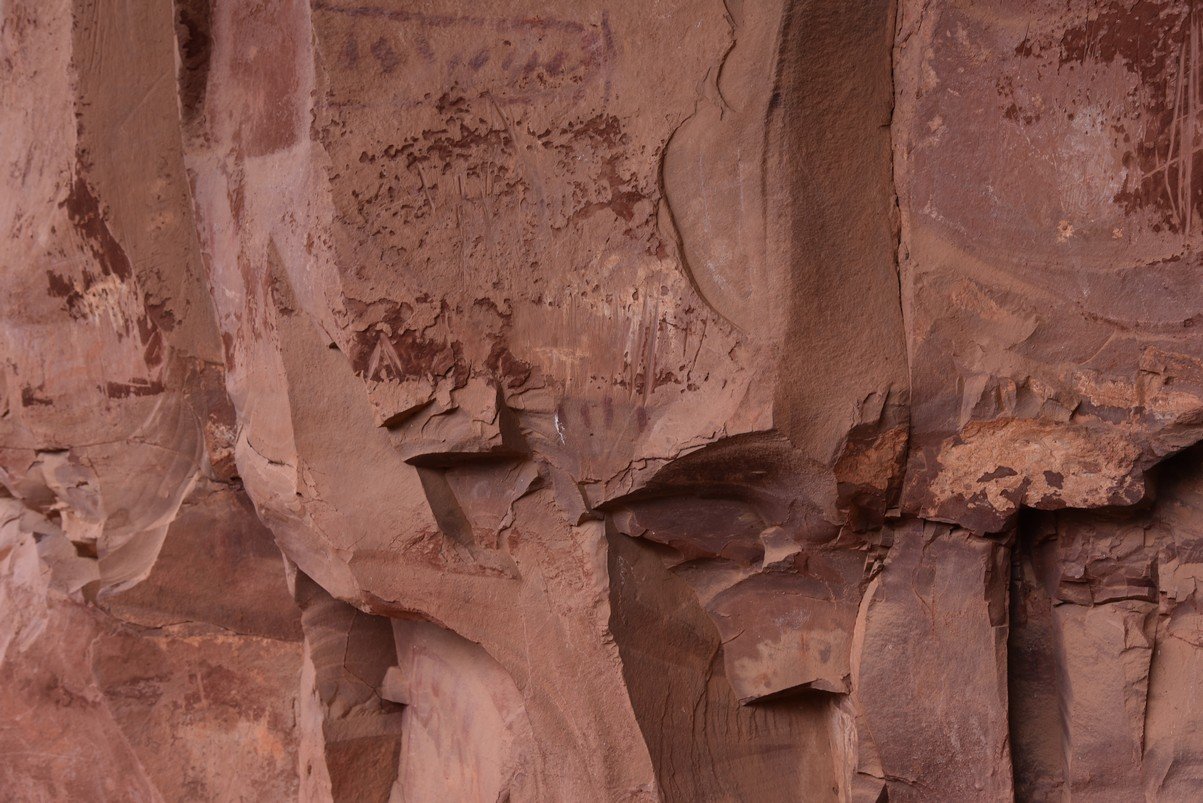 dsc_8995_fs.jpg