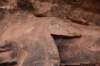 dsc_8997_fs_small.jpg