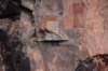 dsc_9006_fs_small.jpg