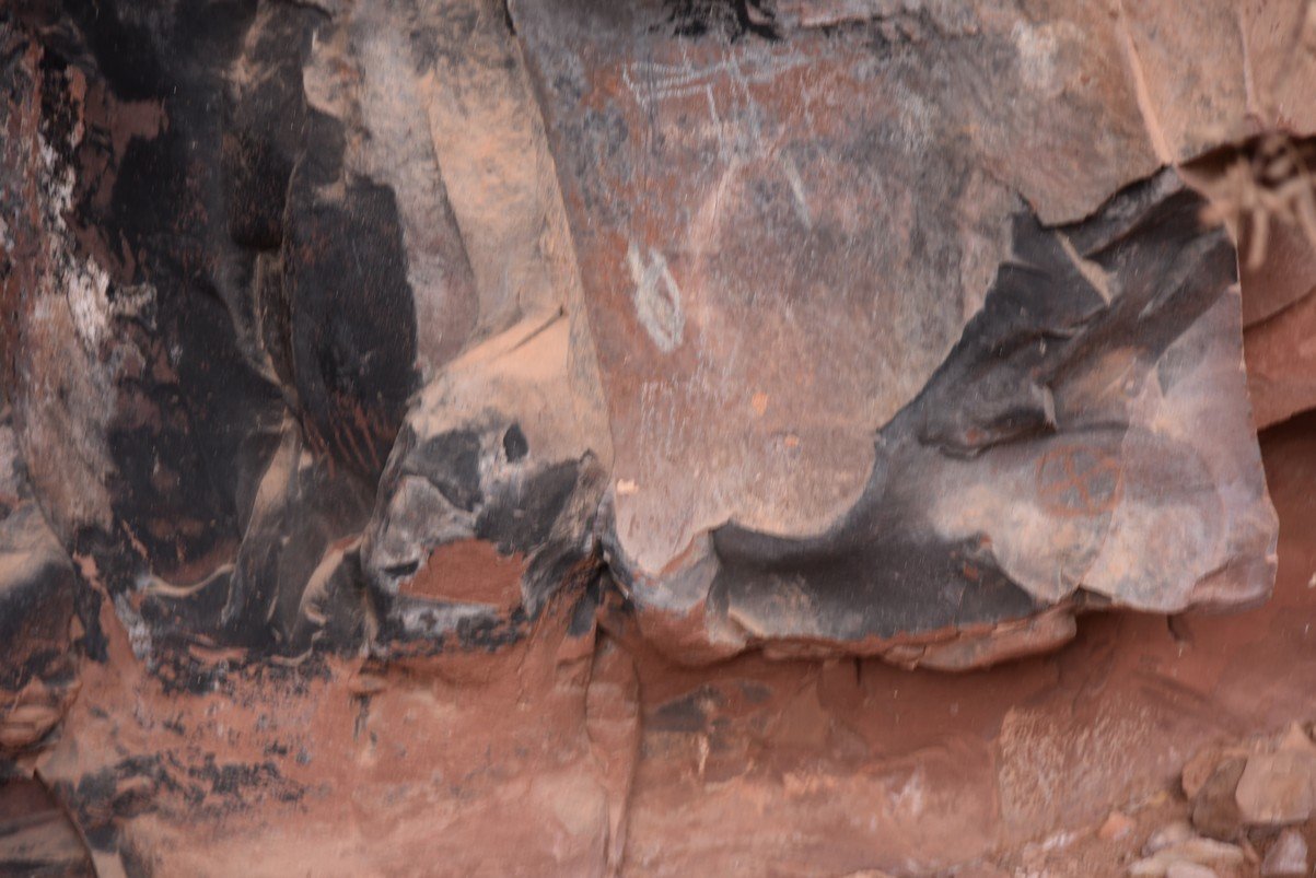 dsc_9007_fs.jpg