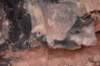 dsc_9007_fs_small.jpg