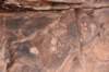 dsc_9015_fs_small.jpg