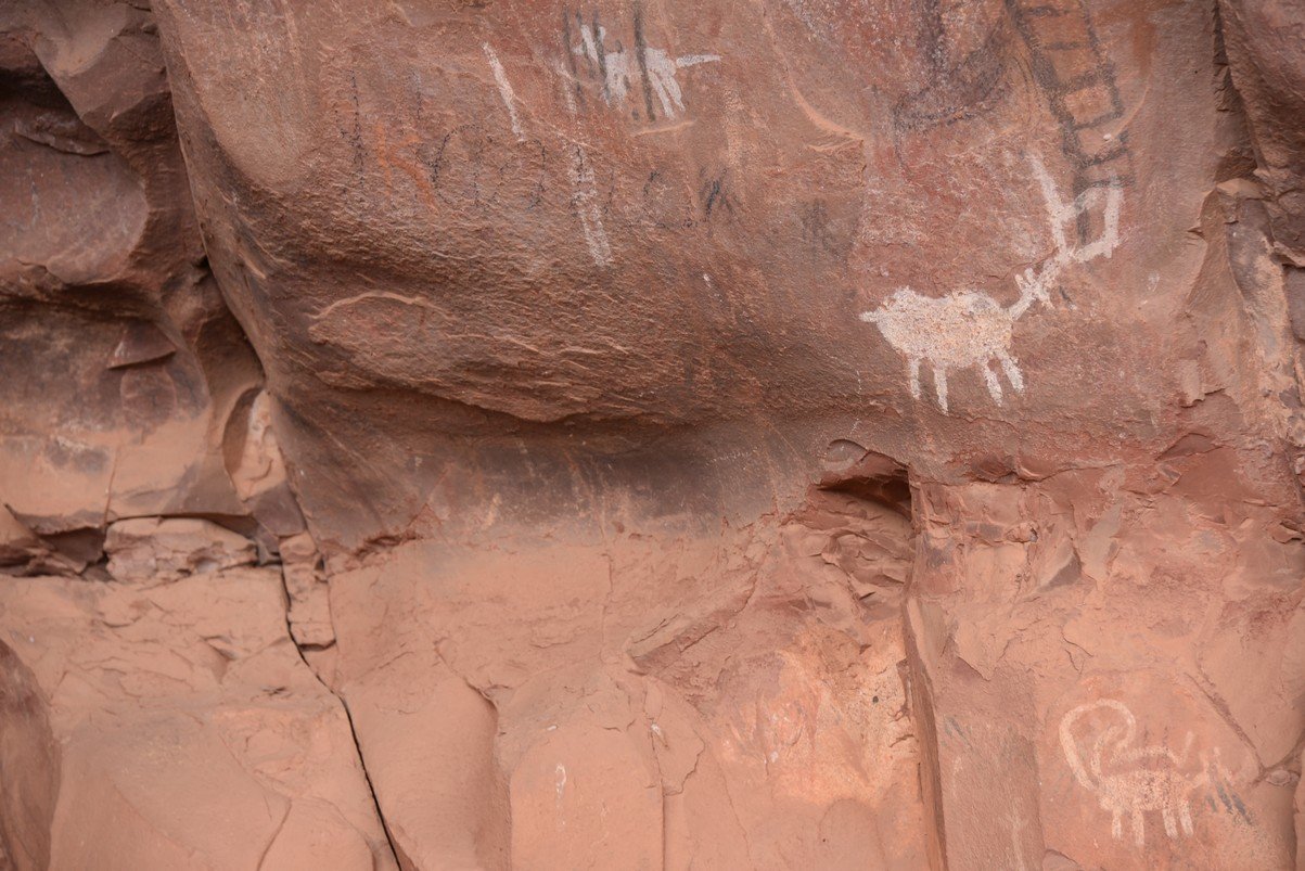 dsc_9026_fs.jpg